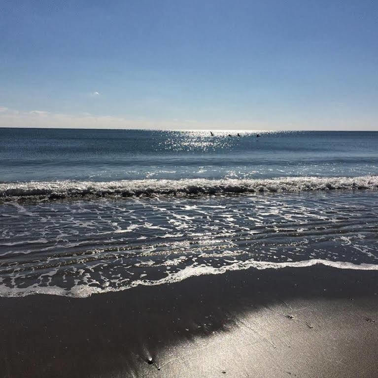 Crystal Coast Oceanfront Hotel Pine Knoll Shores Exteriör bild
